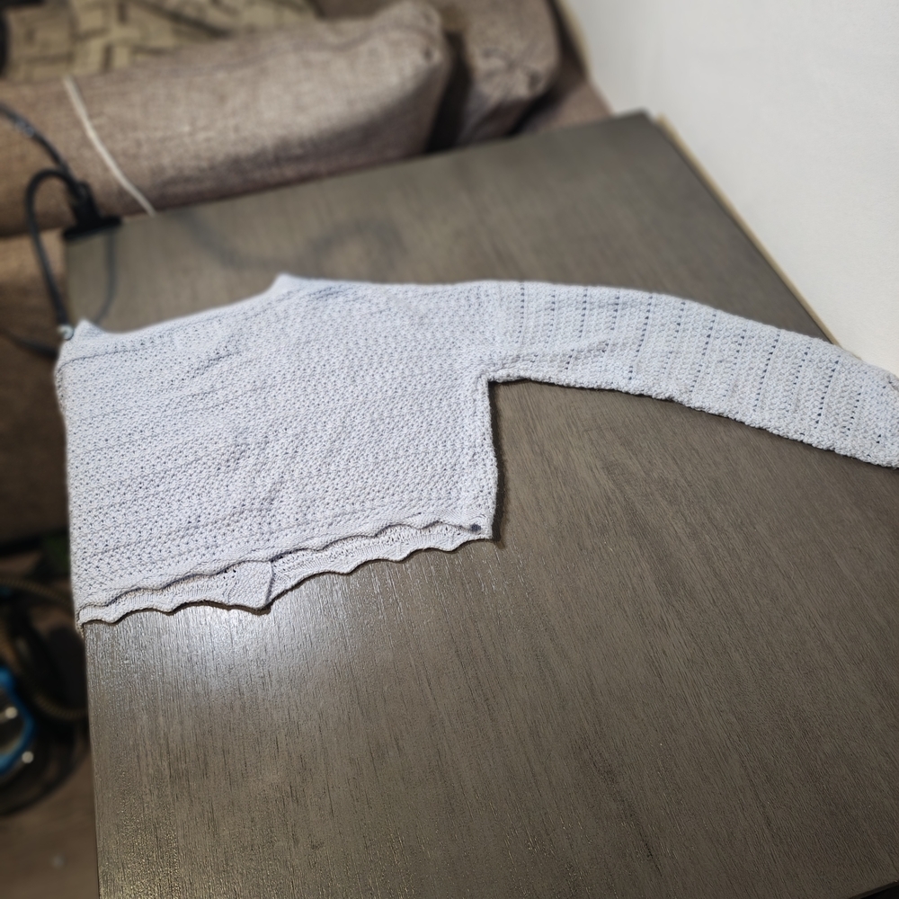Pink Rose Crop Top Knitted Long Sleeve ,Size Small ,Light Blue Color - Picture 2 of 4